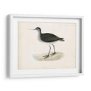 Morris Sandpiper Viii - Morris | Cuadro decorativo de Canvas Lab