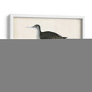Morris Sandpiper Viii - Morris | Cuadro decorativo de Canvas Lab