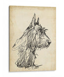 Estudios De Raza I - Ethan Harper | Cuadro decorativo de Canvas Lab