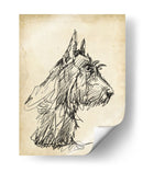 Estudios De Raza I - Ethan Harper | Cuadro decorativo de Canvas Lab