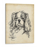 Estudios De Raza Ii - Ethan Harper | Cuadro decorativo de Canvas Lab