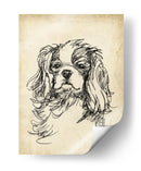 Estudios De Raza Ii - Ethan Harper | Cuadro decorativo de Canvas Lab