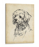 Estudios De Raza Iii - Ethan Harper | Cuadro decorativo de Canvas Lab