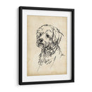 Estudios De Raza Iii - Ethan Harper | Cuadro decorativo de Canvas Lab