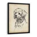 Estudios De Raza Iii - Ethan Harper | Cuadro decorativo de Canvas Lab