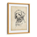 Estudios De Raza Iii - Ethan Harper | Cuadro decorativo de Canvas Lab