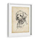 Estudios De Raza Iii - Ethan Harper | Cuadro decorativo de Canvas Lab