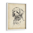 Estudios De Raza Iii - Ethan Harper | Cuadro decorativo de Canvas Lab