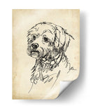 Estudios De Raza Iii - Ethan Harper | Cuadro decorativo de Canvas Lab