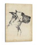 Estudios De Raza Iv - Ethan Harper | Cuadro decorativo de Canvas Lab