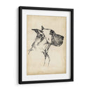 Estudios De Raza Iv - Ethan Harper | Cuadro decorativo de Canvas Lab