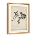 Estudios De Raza Iv - Ethan Harper | Cuadro decorativo de Canvas Lab