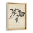 Estudios De Raza Iv - Ethan Harper | Cuadro decorativo de Canvas Lab