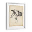 Estudios De Raza Iv - Ethan Harper | Cuadro decorativo de Canvas Lab