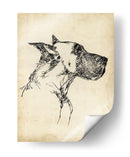 Estudios De Raza Iv - Ethan Harper | Cuadro decorativo de Canvas Lab