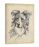 Estudios De Raza V - Ethan Harper | Cuadro decorativo de Canvas Lab