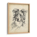 Estudios De Raza V - Ethan Harper | Cuadro decorativo de Canvas Lab