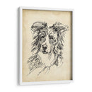 Estudios De Raza V - Ethan Harper | Cuadro decorativo de Canvas Lab