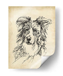 Estudios De Raza V - Ethan Harper | Cuadro decorativo de Canvas Lab