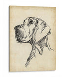 Estudios De Raza Vi - Ethan Harper | Cuadro decorativo de Canvas Lab