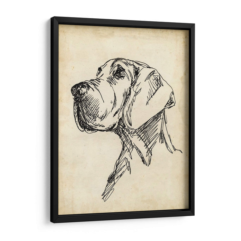 Estudios De Raza Vi - Ethan Harper | Cuadro decorativo de Canvas Lab