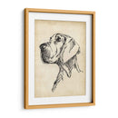 Estudios De Raza Vi - Ethan Harper | Cuadro decorativo de Canvas Lab