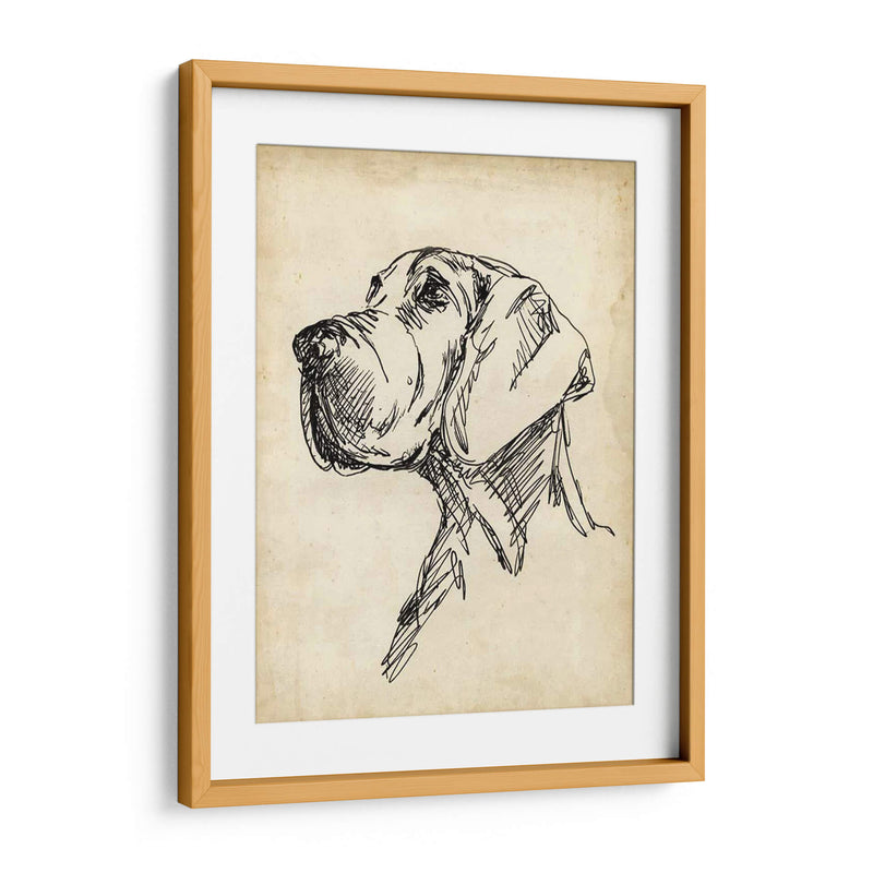 Estudios De Raza Vi - Ethan Harper | Cuadro decorativo de Canvas Lab