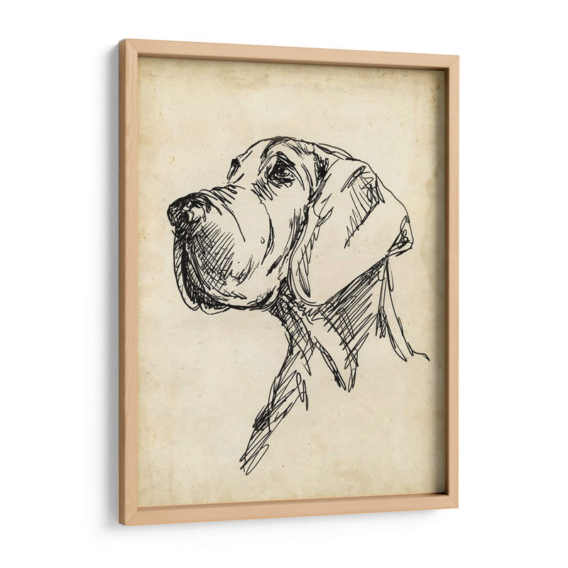 Estudios De Raza Vi - Ethan Harper | Cuadro decorativo de Canvas Lab