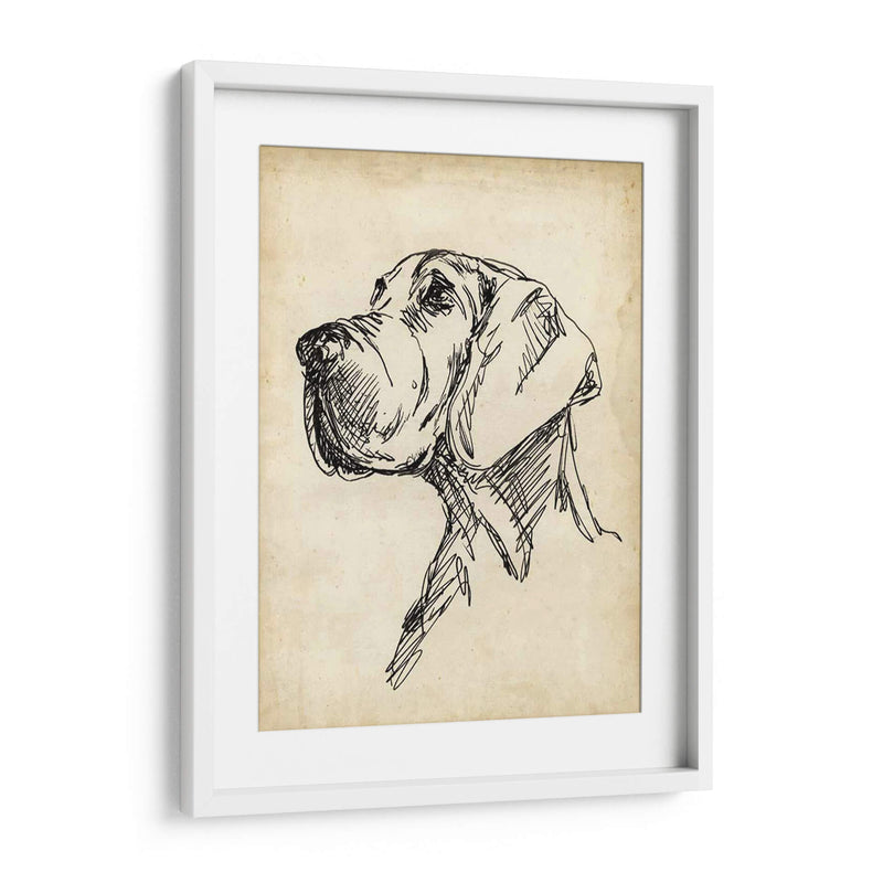 Estudios De Raza Vi - Ethan Harper | Cuadro decorativo de Canvas Lab