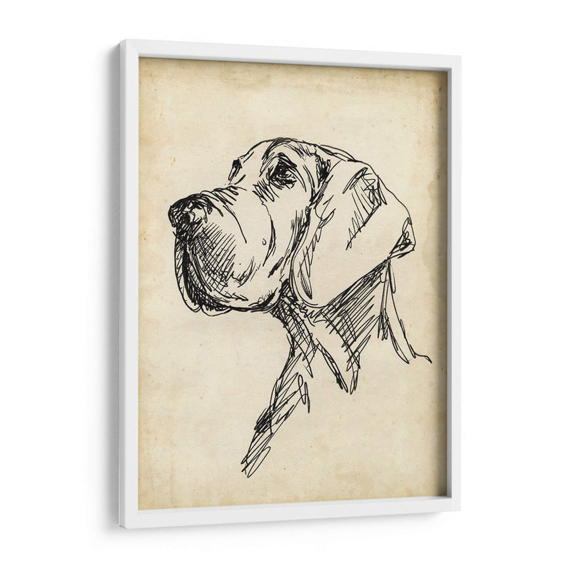 Estudios De Raza Vi - Ethan Harper | Cuadro decorativo de Canvas Lab