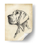 Estudios De Raza Vi - Ethan Harper | Cuadro decorativo de Canvas Lab