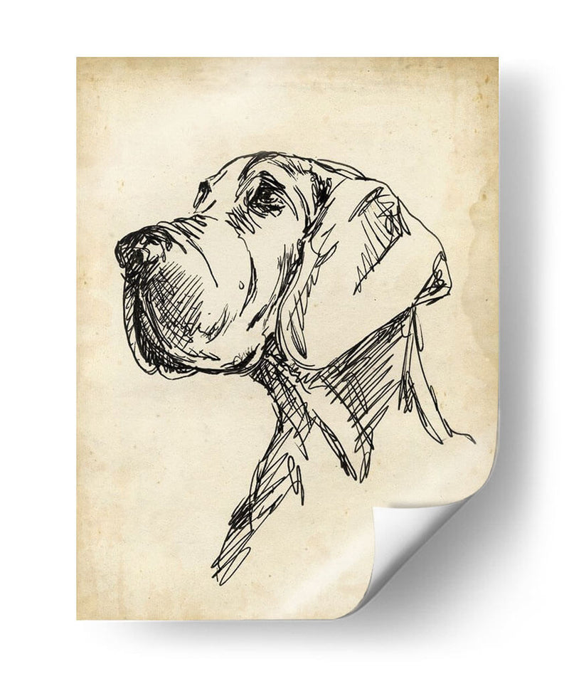 Estudios De Raza Vi - Ethan Harper | Cuadro decorativo de Canvas Lab