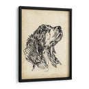 Estudios De Raza Vii - Ethan Harper | Cuadro decorativo de Canvas Lab