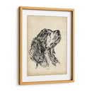 Estudios De Raza Vii - Ethan Harper | Cuadro decorativo de Canvas Lab