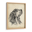 Estudios De Raza Vii - Ethan Harper | Cuadro decorativo de Canvas Lab