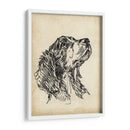 Estudios De Raza Vii - Ethan Harper | Cuadro decorativo de Canvas Lab