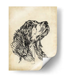 Estudios De Raza Vii - Ethan Harper | Cuadro decorativo de Canvas Lab