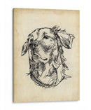 Estudios De Raza Viii - Ethan Harper | Cuadro decorativo de Canvas Lab