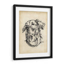 Estudios De Raza Viii - Ethan Harper | Cuadro decorativo de Canvas Lab