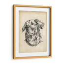 Estudios De Raza Viii - Ethan Harper | Cuadro decorativo de Canvas Lab