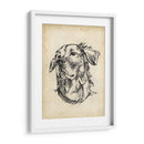 Estudios De Raza Viii - Ethan Harper | Cuadro decorativo de Canvas Lab