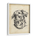 Estudios De Raza Viii - Ethan Harper | Cuadro decorativo de Canvas Lab