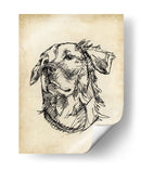 Estudios De Raza Viii - Ethan Harper | Cuadro decorativo de Canvas Lab