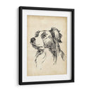 Estudios De Raza Ix - Ethan Harper | Cuadro decorativo de Canvas Lab