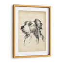 Estudios De Raza Ix - Ethan Harper | Cuadro decorativo de Canvas Lab