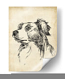 Estudios De Raza Ix - Ethan Harper | Cuadro decorativo de Canvas Lab