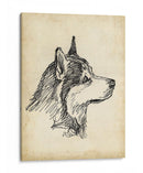 Estudios De Raza X - Ethan Harper | Cuadro decorativo de Canvas Lab