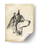 Estudios De Raza X - Ethan Harper | Cuadro decorativo de Canvas Lab