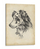 Estudios De Raza Xi - Ethan Harper | Cuadro decorativo de Canvas Lab