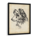 Estudios De Raza Xi - Ethan Harper | Cuadro decorativo de Canvas Lab